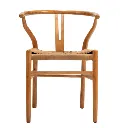 Wishbone frontal.webp